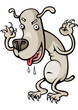 dog dog