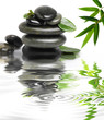 Wet stones with a green leafs in the water Wet stones with a green leafs in the water