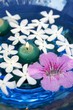 Jasmine, and pink Asarina, candles and blue water