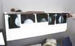 radiology 2