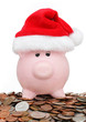 Piggy bank with santa hat