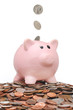 Coins falling into a piggy bank