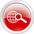 search web button
