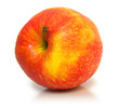 Fruit 13