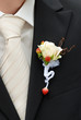 bridegroom