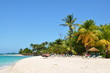 palm island palm island
