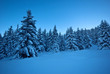 neige belledonne