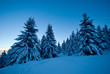 neige belledonne
