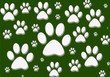 dog´s footprint