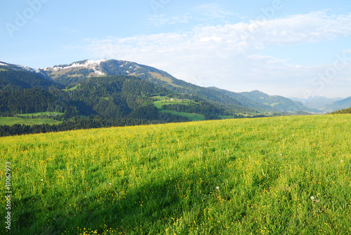 Austrian Alps Austrian Alps