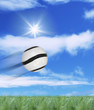 ����: soccer ball � Yahia LOUKKAL #11071366