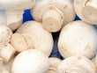champignon