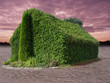 Greenhouse Effect
