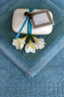 Towel and shell