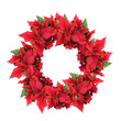 christmas wreath from poinsettia