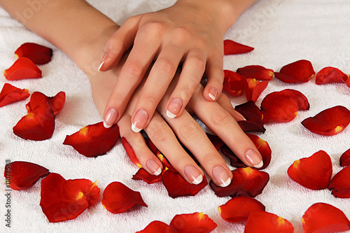 French manicure and rose petals