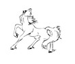 Black horse