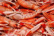 Lobsters, shellfish, crawfish
