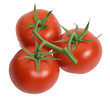 Tomato 3