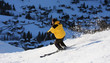 Ski de piste
