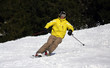 Ski de piste