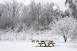 Photo: Two Picnic Benches in Snow Two Picnic Benches in Snow