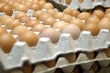 Eggs and eggs