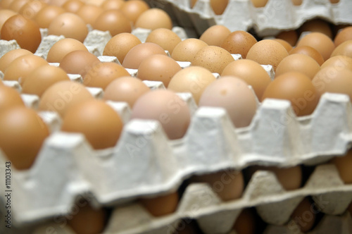 Eggs and eggs