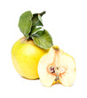 Quince on white background