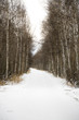Down the snowy road