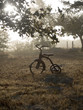 Antique tricycle in sunrise Antique tricycle in sunrise