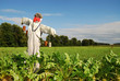 Scarecrow