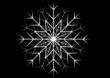 Schneekristall Vektor Black Schneekristall Vektor Black