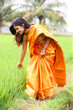 woman walking in the paddy field
