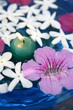 Jasmine, and pink Asarina, candles and blue water