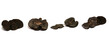 truffes d'hiver