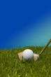 Golfball on a tee. Golfball on a tee.