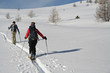 Skieurs de randonnée