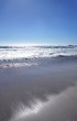 sea sea