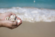 Shells in the hands