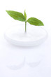 Moisturizing cream