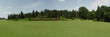 Park in summer