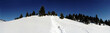Trees and mountain under snow, in Alpes