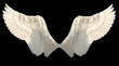 two wings angel isolated