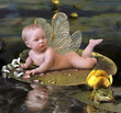 Foto: elf baby elf baby