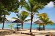 palm island
