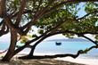 pigeon island sainte lucie