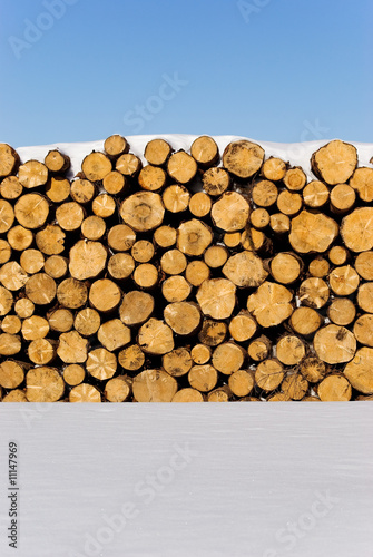 Photo: Bois Bois