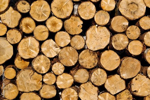 Photo: Bois Bois
