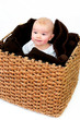 Foto: Paul das Baby Paul das Baby